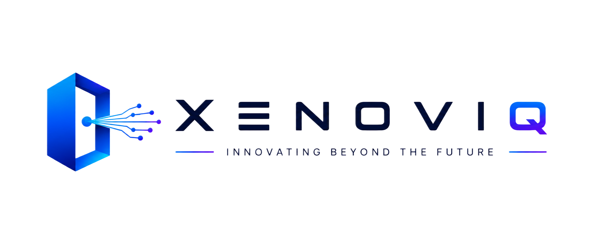 Xenovic IT Services & Solutions